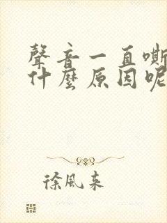 声音一直嘶哑是什么原因呢