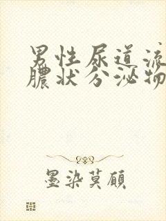 男性尿道流出黄脓状分泌物