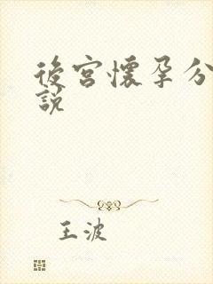 后宫怀孕分娩小说