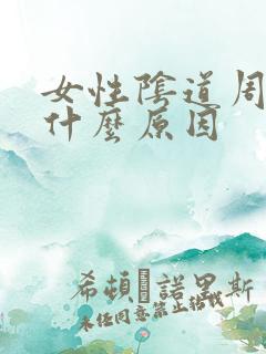 女性阴道周围痒什么原因