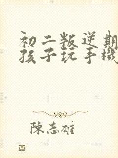 初二叛逆期教育孩子玩手机厌学