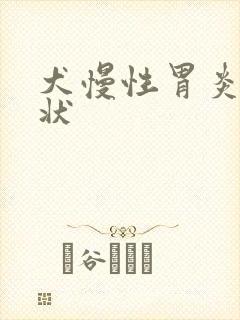 犬慢性胃炎的症状