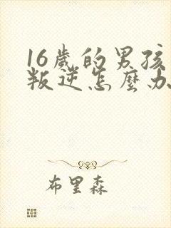 16岁的男孩子叛逆怎么办