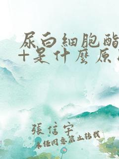 尿白细胞酯酶2+是什么原因