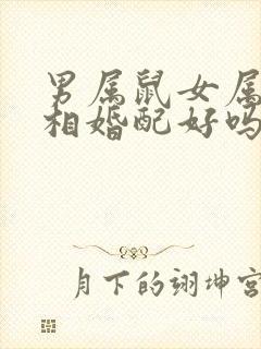 男属鼠女属龙属相婚配好吗