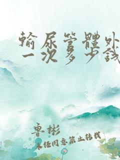 输尿管体外碎石一次多少钱