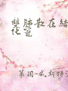 双肺散在结节钙化灶