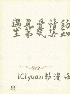 遇见爱情的利先生第几集知道身世