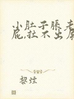 小肚子胀老是放屁,拉不出屎咋回事