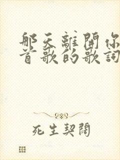 那天离开你是哪首歌的歌词