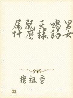 属鼠天蝎男喜欢什么样的女人