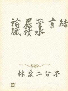 输尿管有结石肾脏积水