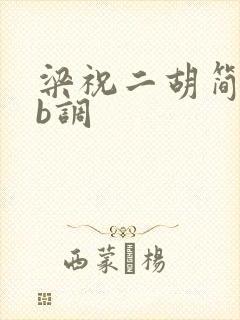 梁祝二胡简谱降b调