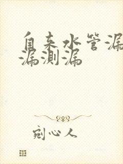 自来水管漏水查漏测漏