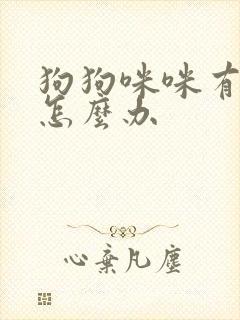 狗狗咪咪有硬块怎么办