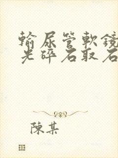 输尿管软镜钬激光碎石取石术