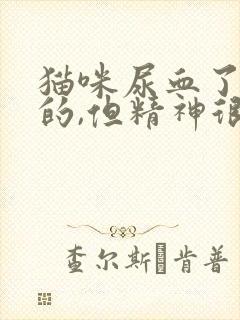 猫咪尿血了鲜红的,但精神很好