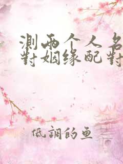 测两个人名字配对姻缘配对