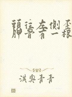 头往左侧歪时肩胛骨有一根筋疼怎么回事