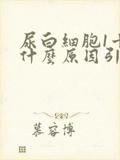 尿白细胞1十是什么原因引起的