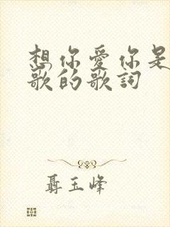 想你爱你是什么歌的歌词