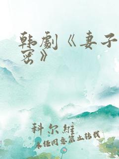 韩剧《妻子的秘密》