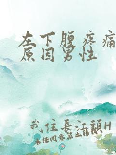 左下腹疼痛什么原因男性