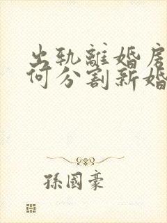 出轨离婚房子如何分割新婚姻法2023