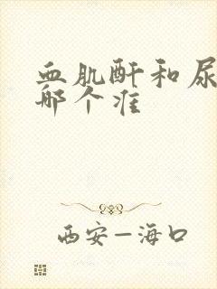 血肌酐和尿肌酐哪个准