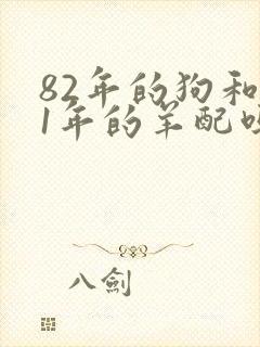 82年的狗和91年的羊配吗