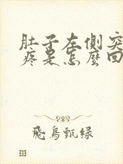 肚子左侧突然很疼是怎么回事