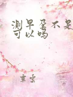 测早孕不是晨尿可以吗