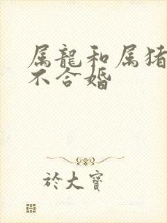 属龙和属猪的合不合婚