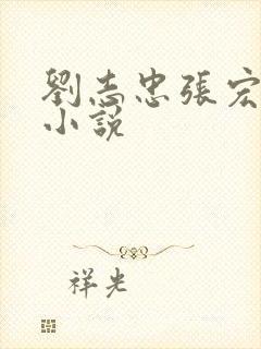 刘志忠张宏阳的小说