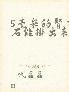 5毫米的肾有结石能排出来吗