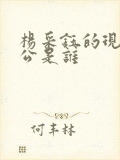 杨采钰的现任老公是谁