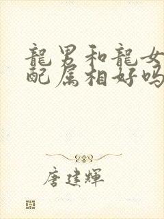 龙男和龙女的婚配属相好吗