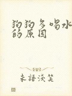 狗狗多喝水多尿的原因