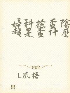 妇科检查阴道b超是查什么