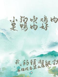 小狗吃鸡肉好还是鸭肉好