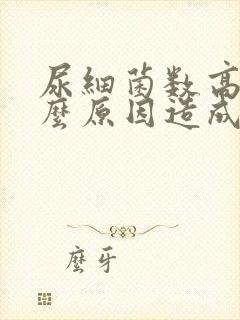 尿细菌数高是什么原因造成的