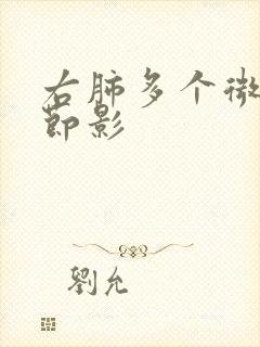 右肺多个微小结节影