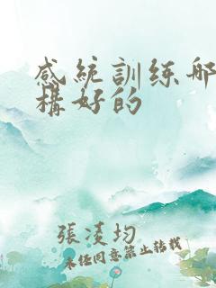 感统训练哪个机构好的