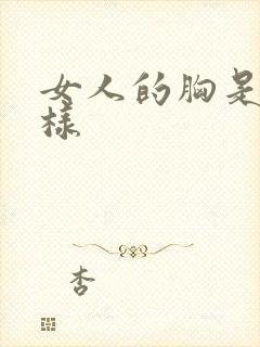 女人的胸是什么样