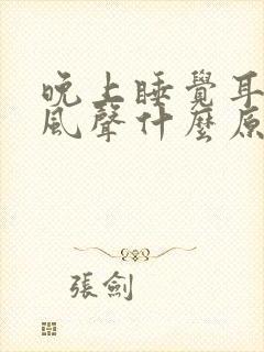 晚上睡觉耳朵有风声什么原因