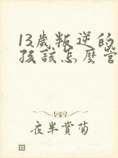 13岁叛逆的男孩该怎么管教