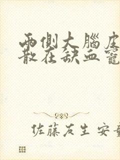 两侧大脑皮层下散在缺血灶是什么病