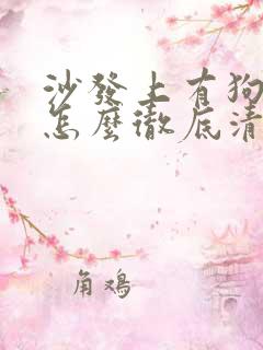 沙发上有狗尿味怎么彻底清除