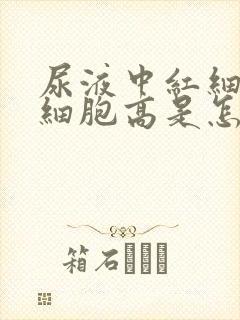 尿液中红细胞白细胞高是怎么回事