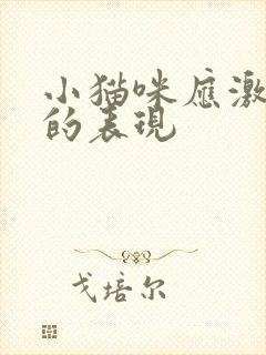 小猫咪应激反应的表现